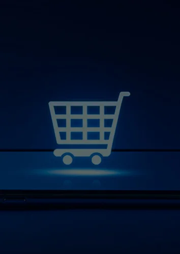 E-commerce Website Development
