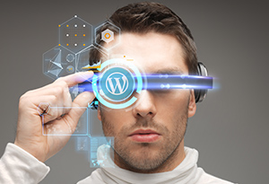 VR Optimized WordPress themes